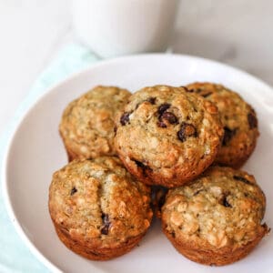 A plate with sourdough banana oat muffins with chocolate chips.