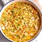 A white Dutch Oven full of a soup with noodles, carrots, celery and chicken.