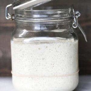 A flip lock jar with active sourdough starter.