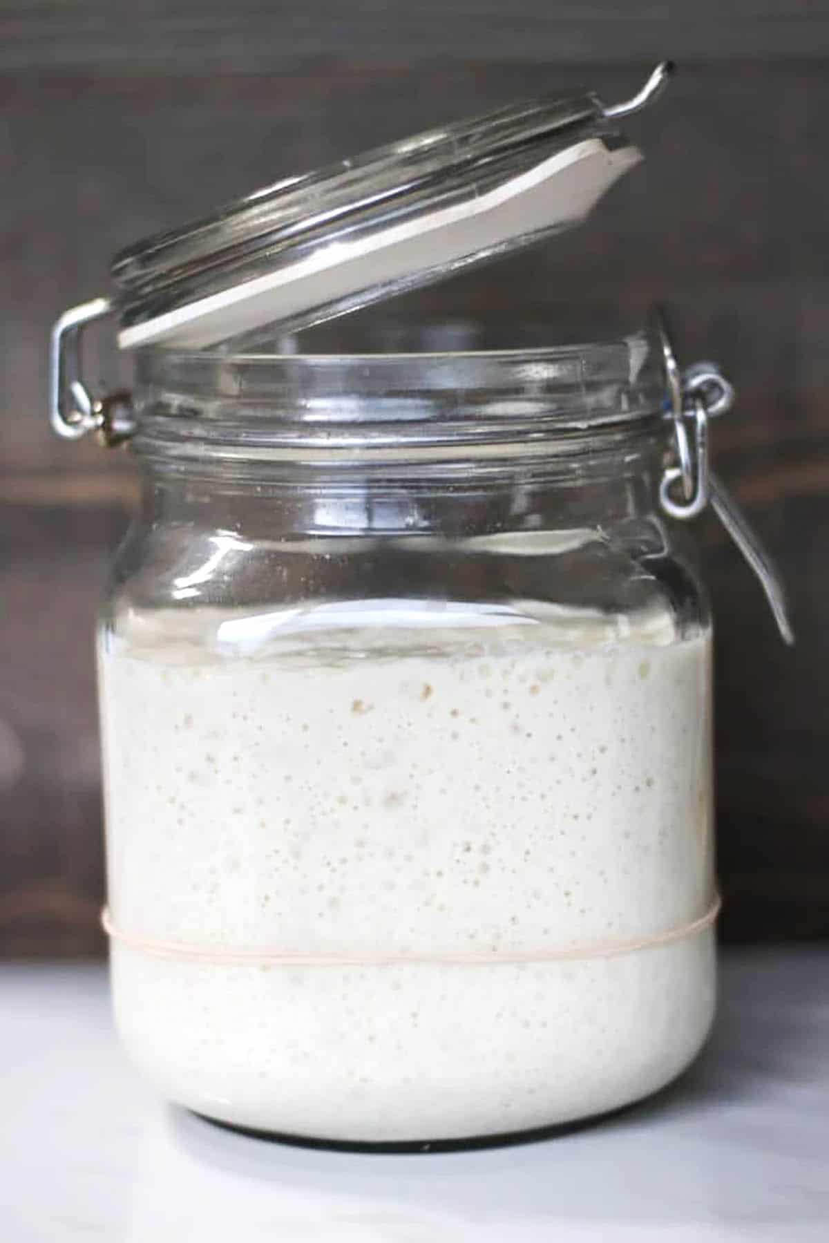 A flip lock jar with the lid open and a rubber band around the middle measuring the growth of a sourdough starter.