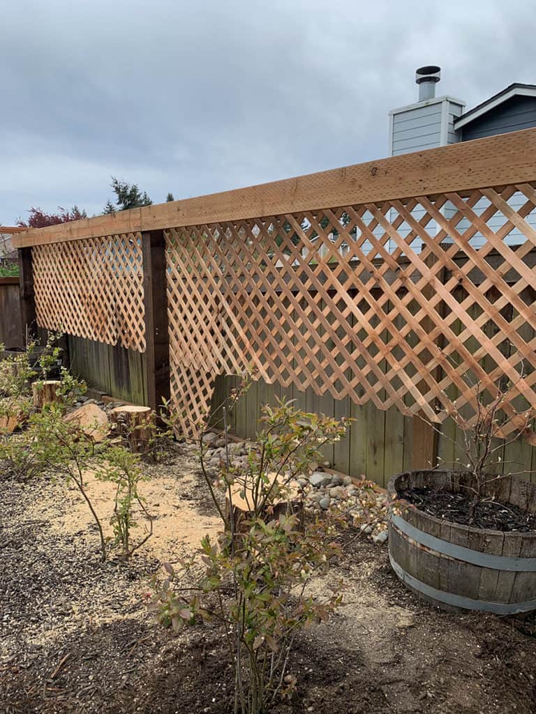 DIY Garden Trellis