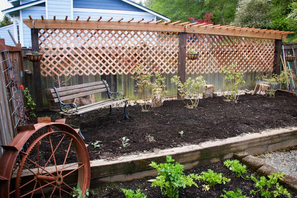 DIY Garden Trellis