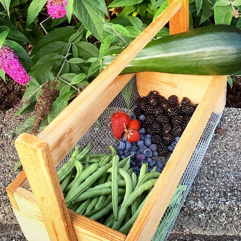 Fresh Homegrown produce from my garden. Green beans, blueberries, blackberries, strawberries and zucchini.