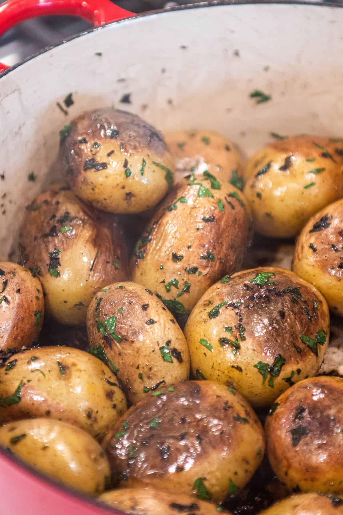 Cooked yukon gold potatoes with fresh herbs in a dutch oven.