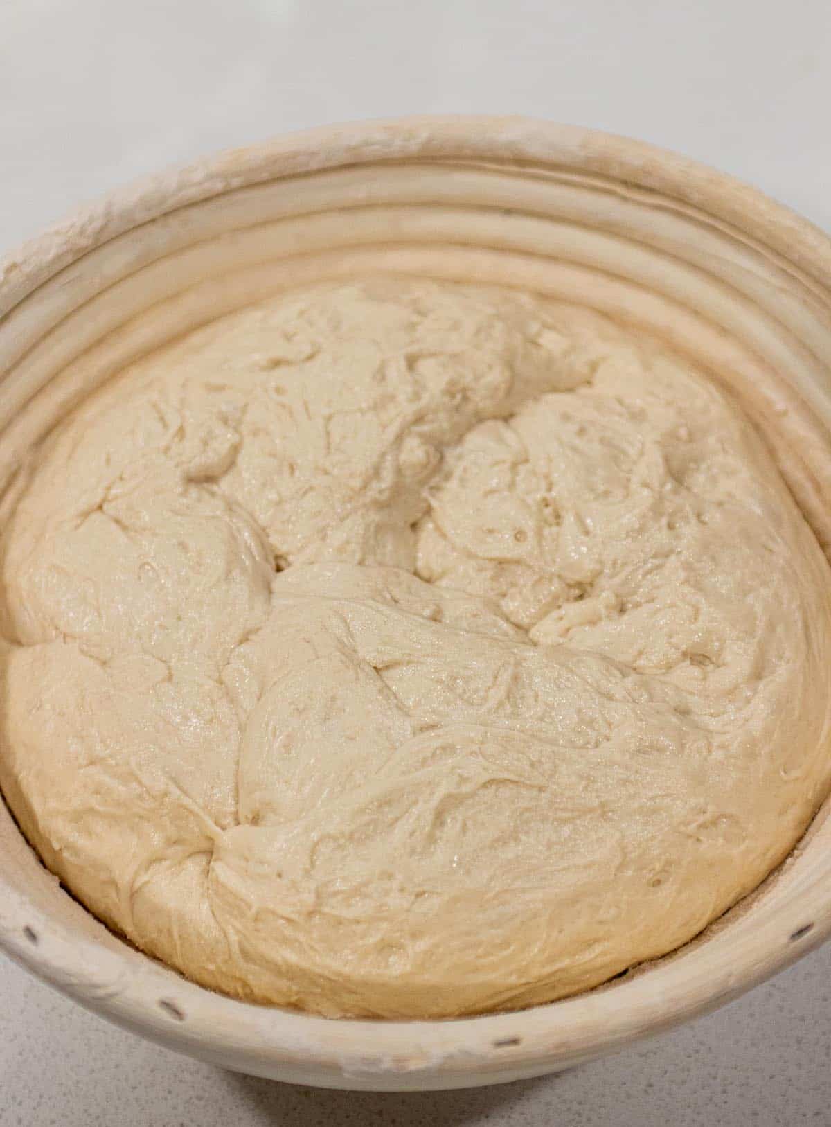 Banneton basket with a raw dough of sourdough. 
