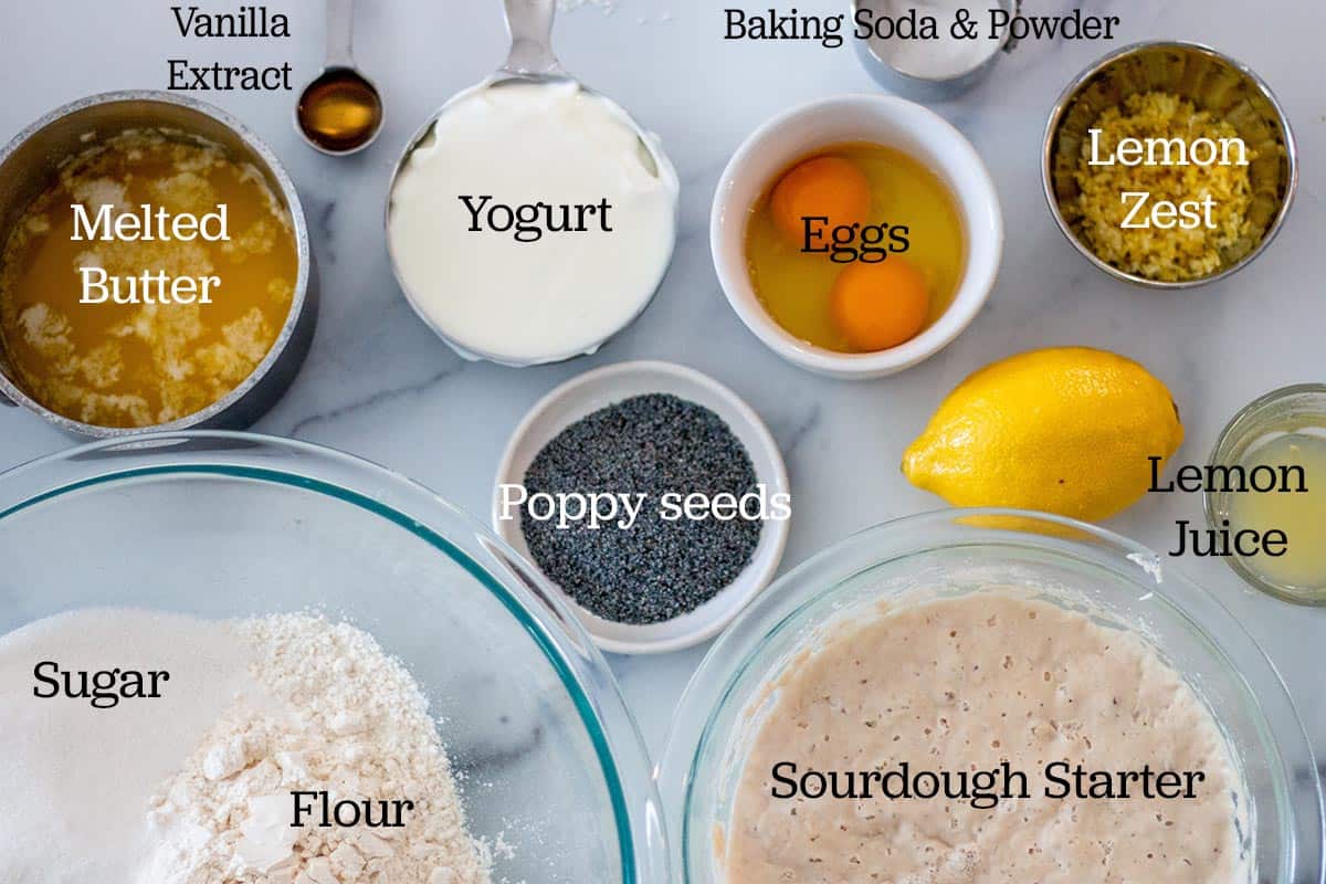 Ingredients to make sourdough discard lemon poppy seed muffins. All in bowls or measuring cups.