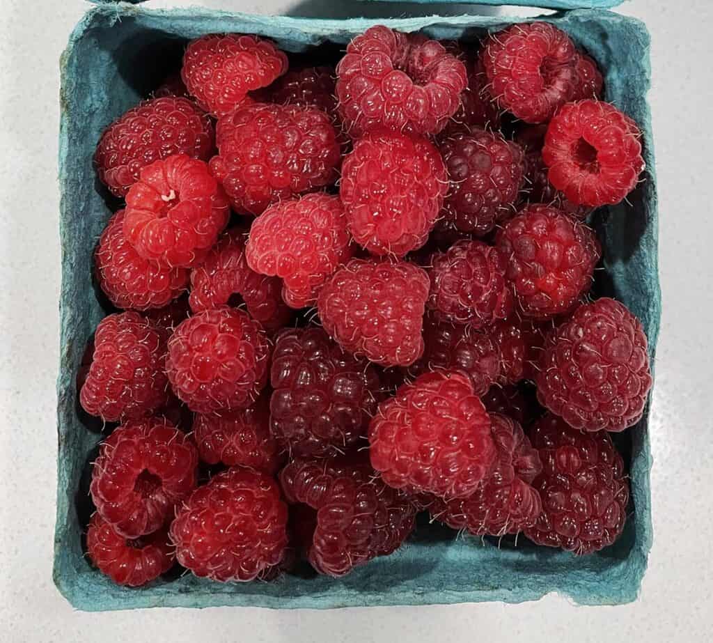 A blue berry basket full of freshly diced raspberries.