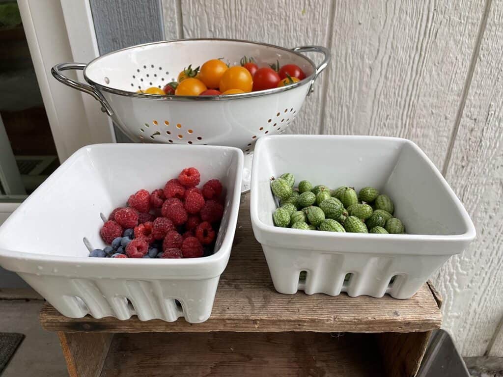 Two ceramic berry baskets, one filled with raspberries, one with cucamelons, and the other with tomatoes. 