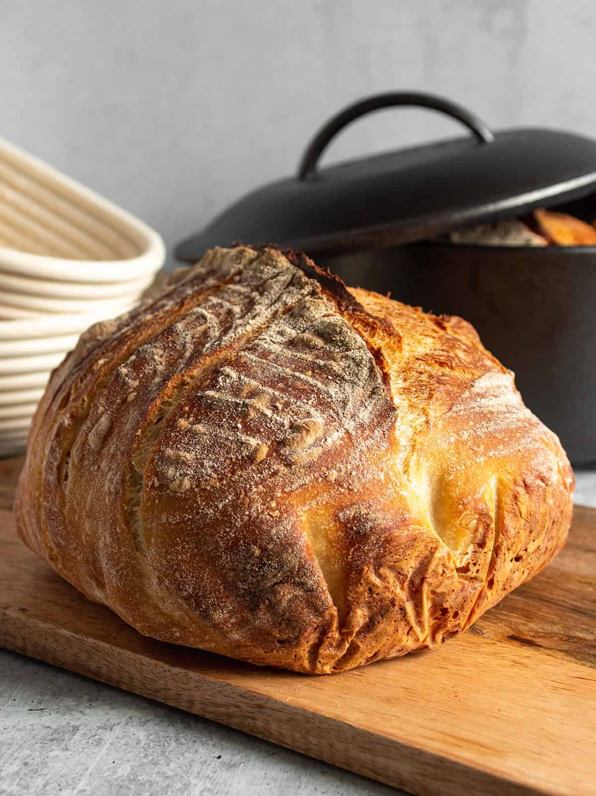 Artisan Bread Baking Crock and Dutch Oven