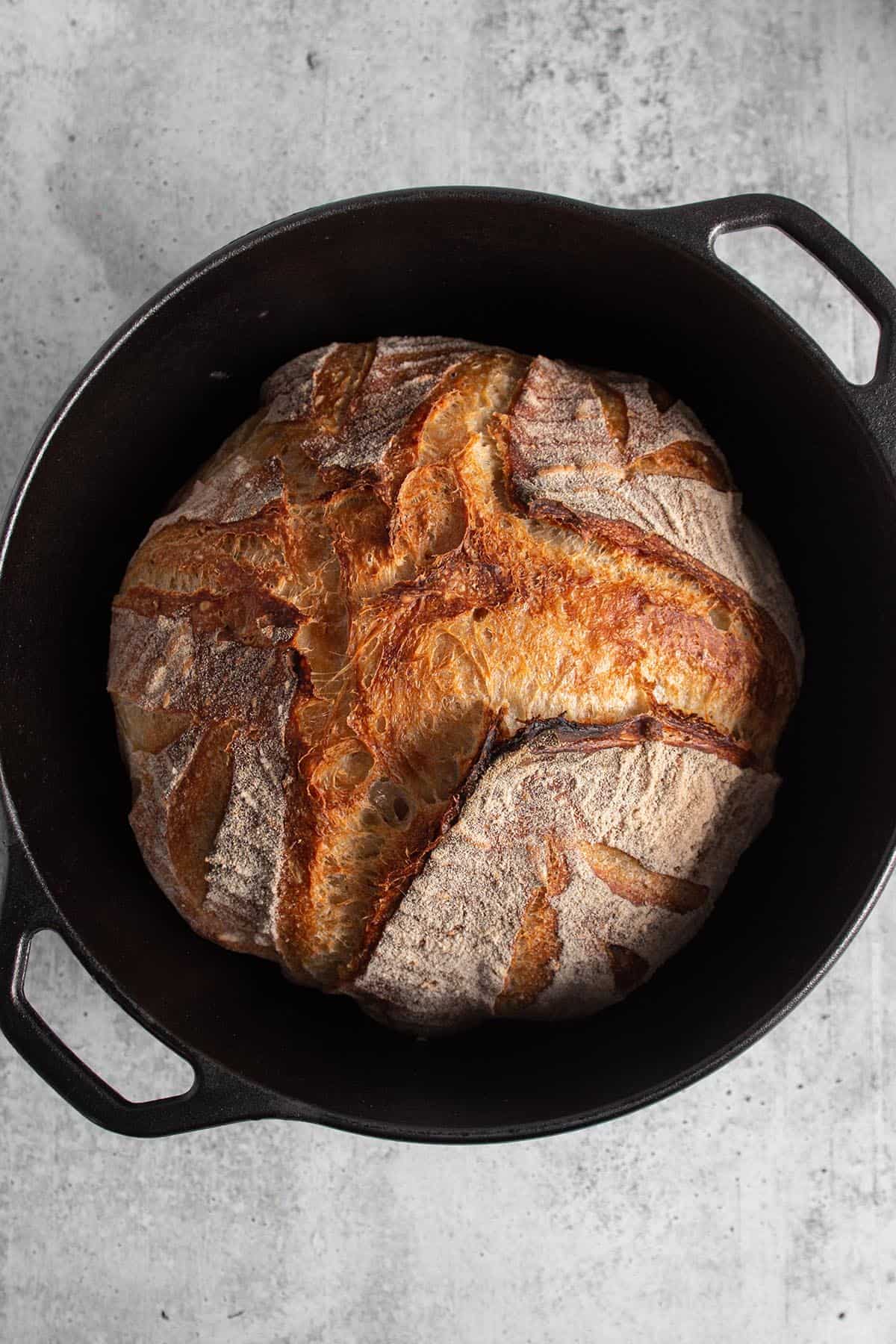 A cast iron dutch oven with a freshly baked loaf of sourdough bread inside. 