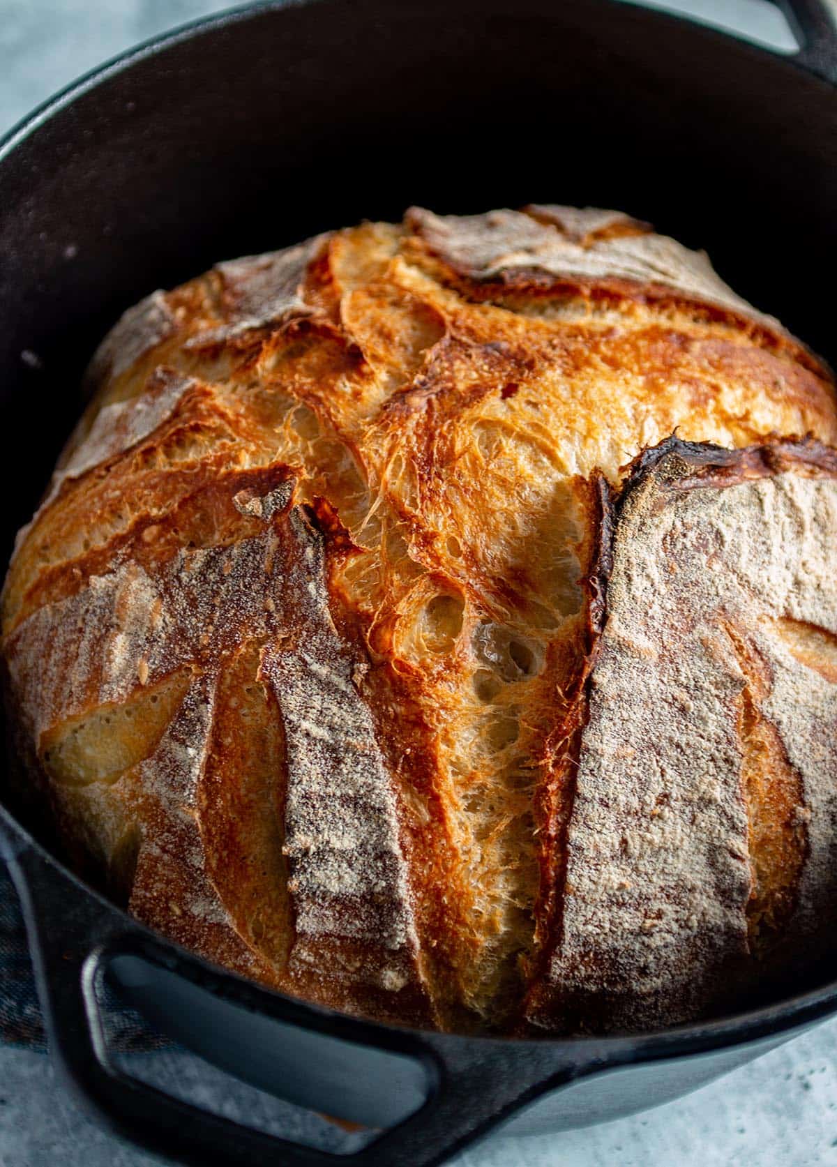 A cast iron dutch oven with a loaf of sourdough bread. The bread is golden with a crispy exterior. 