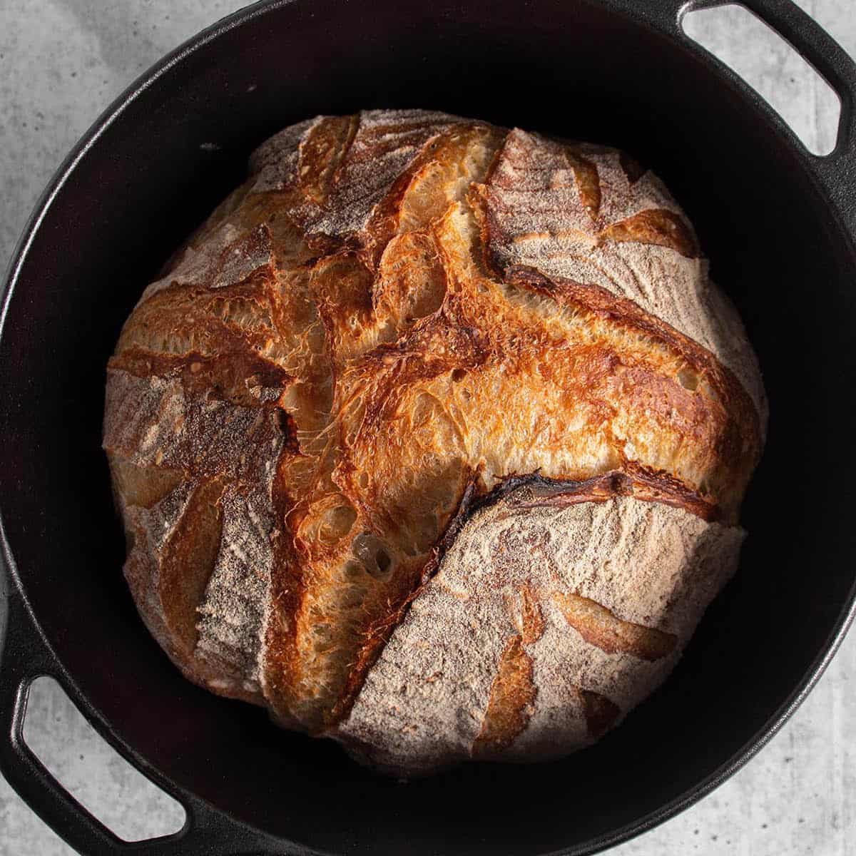 A cast iron Dutch Oven with a freshly baked loaf of sourdough bread.