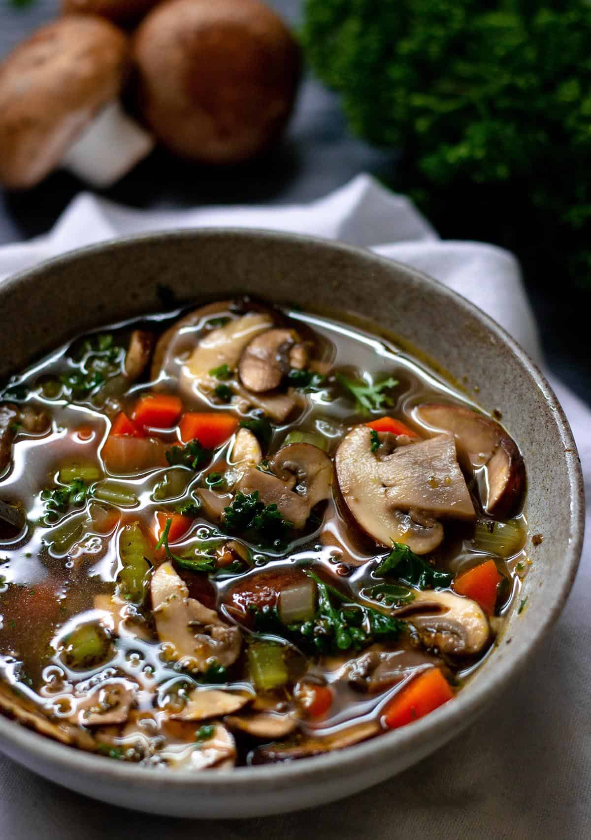 A bowl with soup that has slices of mushrooms, diced up veggies and a beef stock. 