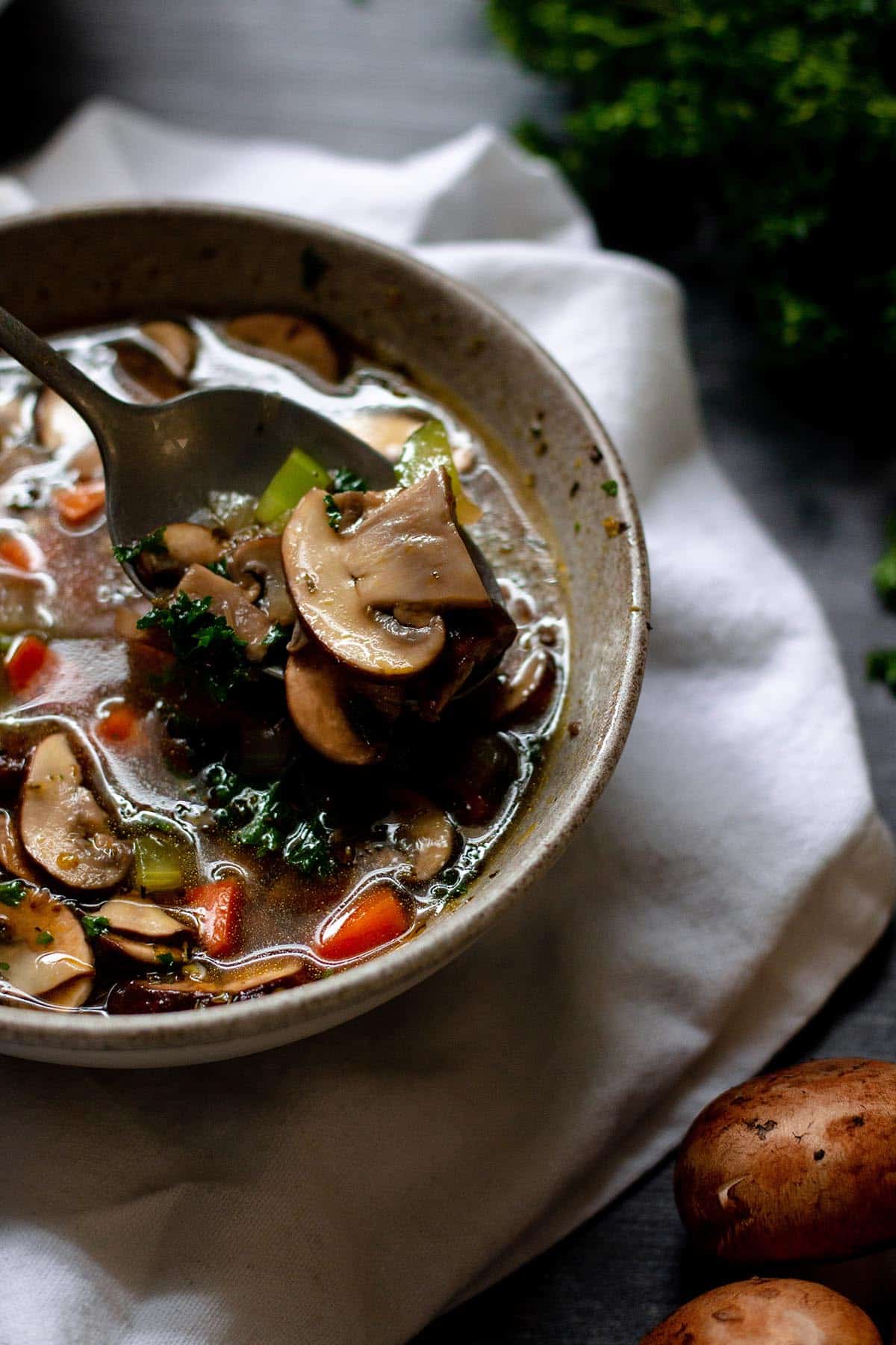 A bowl of fresh mushroom and veggie soup with a spoon lifting out some soup. 