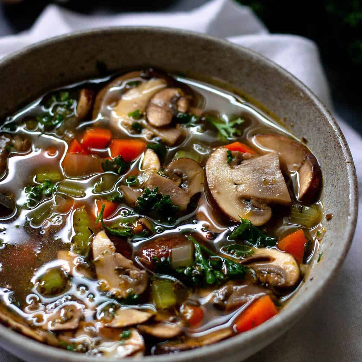 A bowl of soup with mushrooms, fresh veggies, beef stock and parsley. 