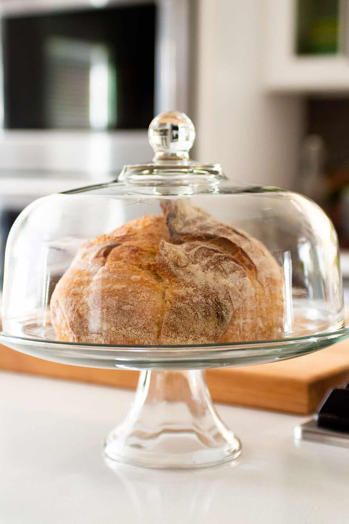 A loaf of sourdough bread being stored inside a dome cake plate.