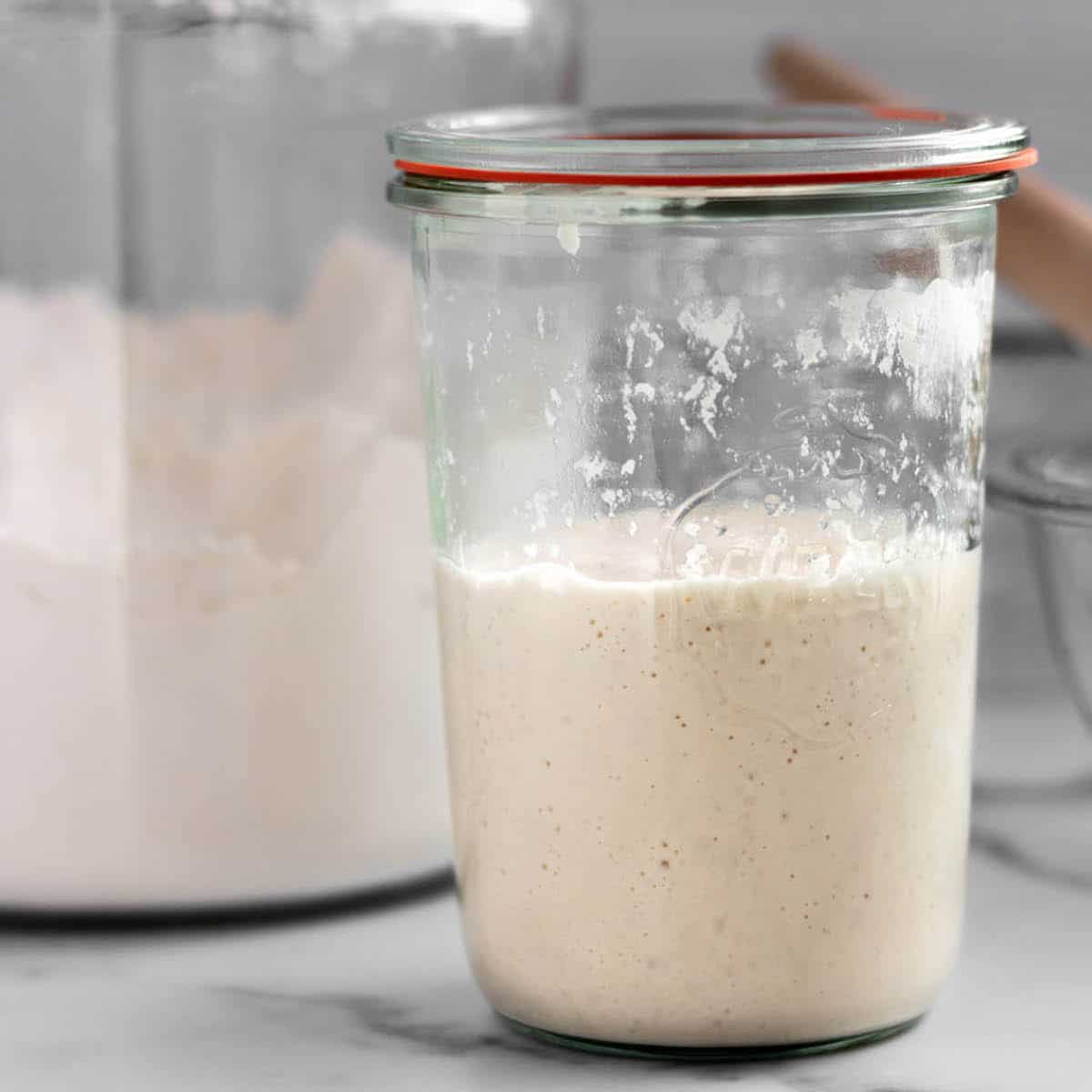 A glass jar with sourdough starter discard, flour and a dough whisk.