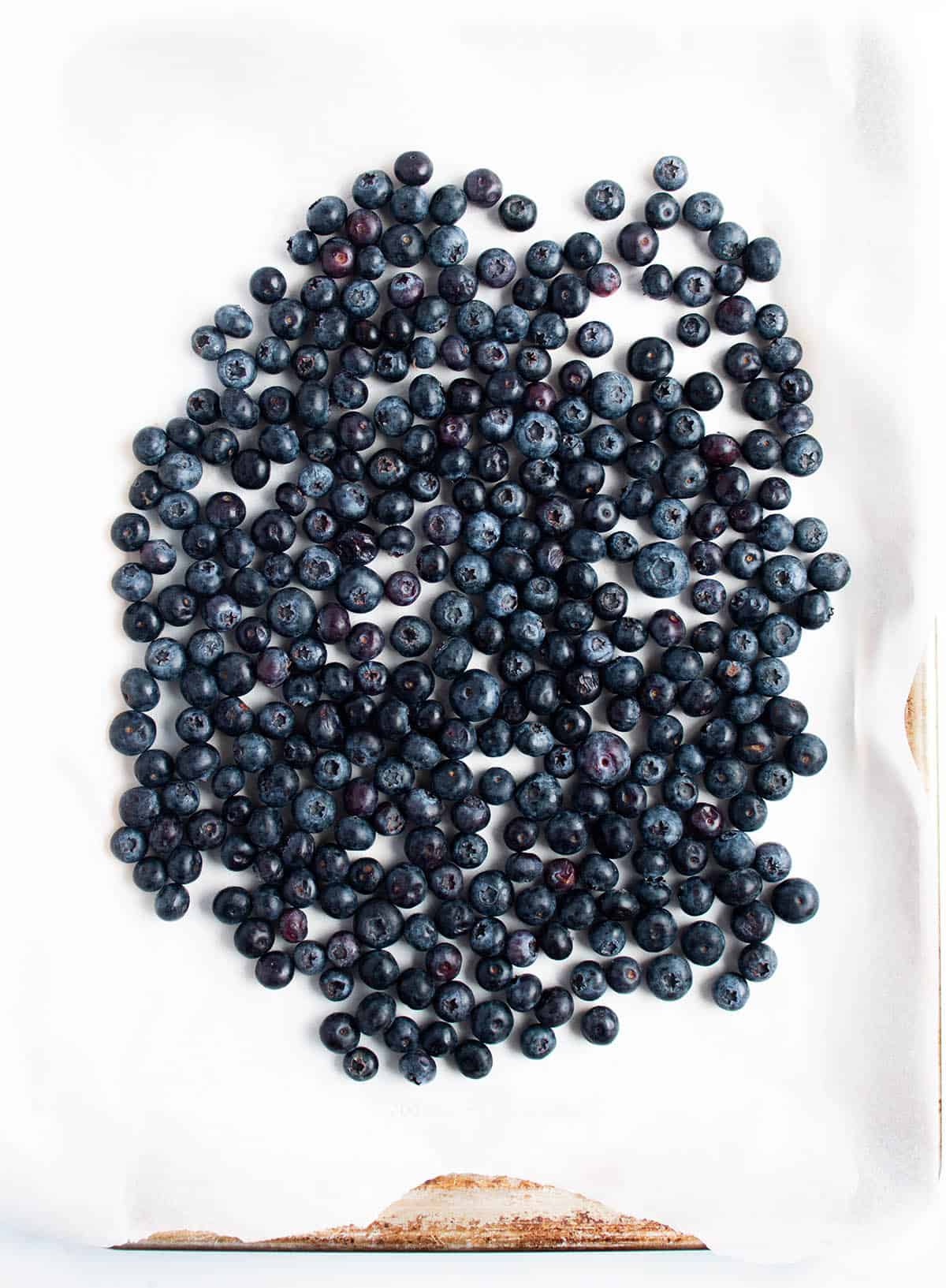 Baking sheet with parchment paper and a single layer of fresh blueberries.