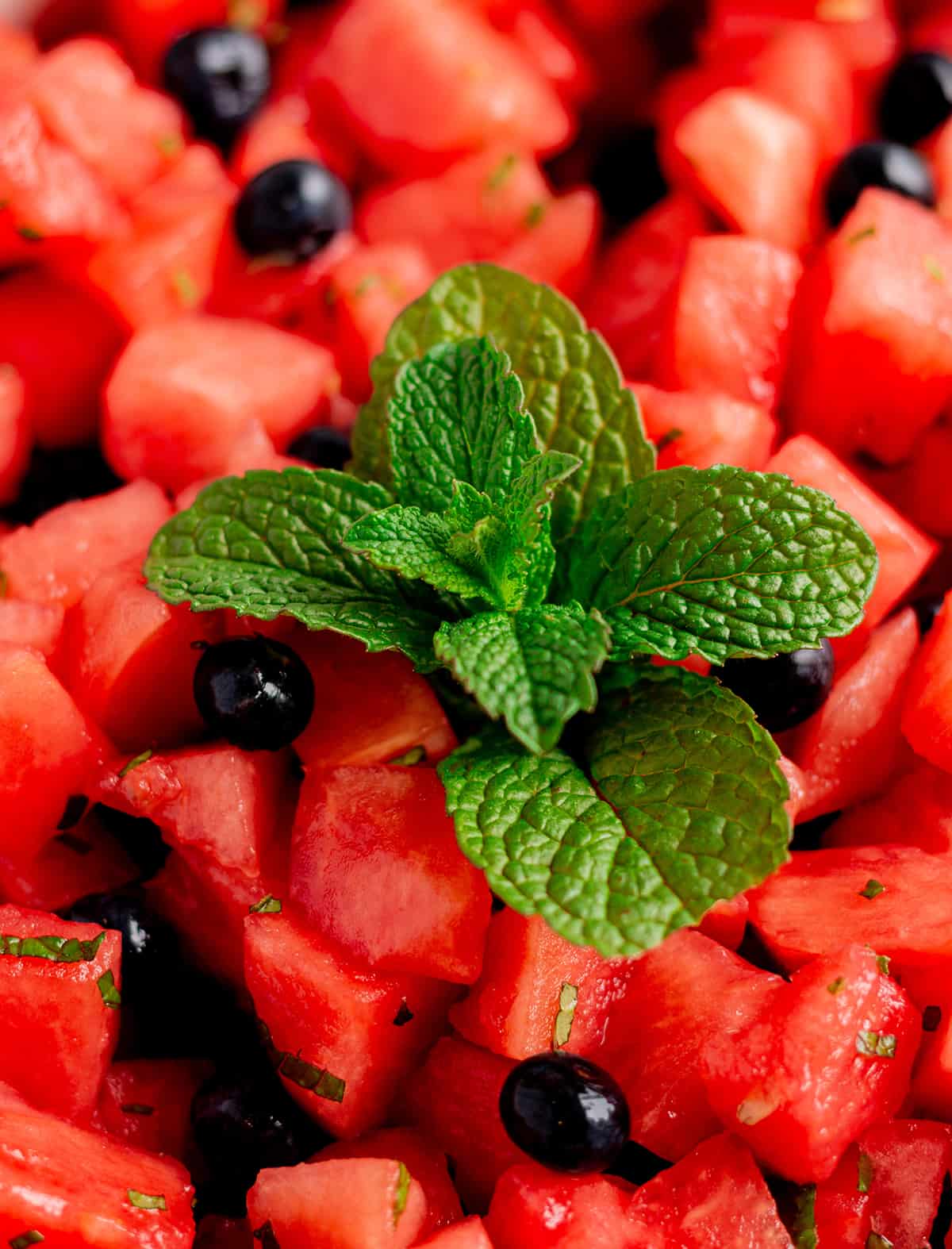 Diced watermelon with fresh blueberries and a spring of mint.