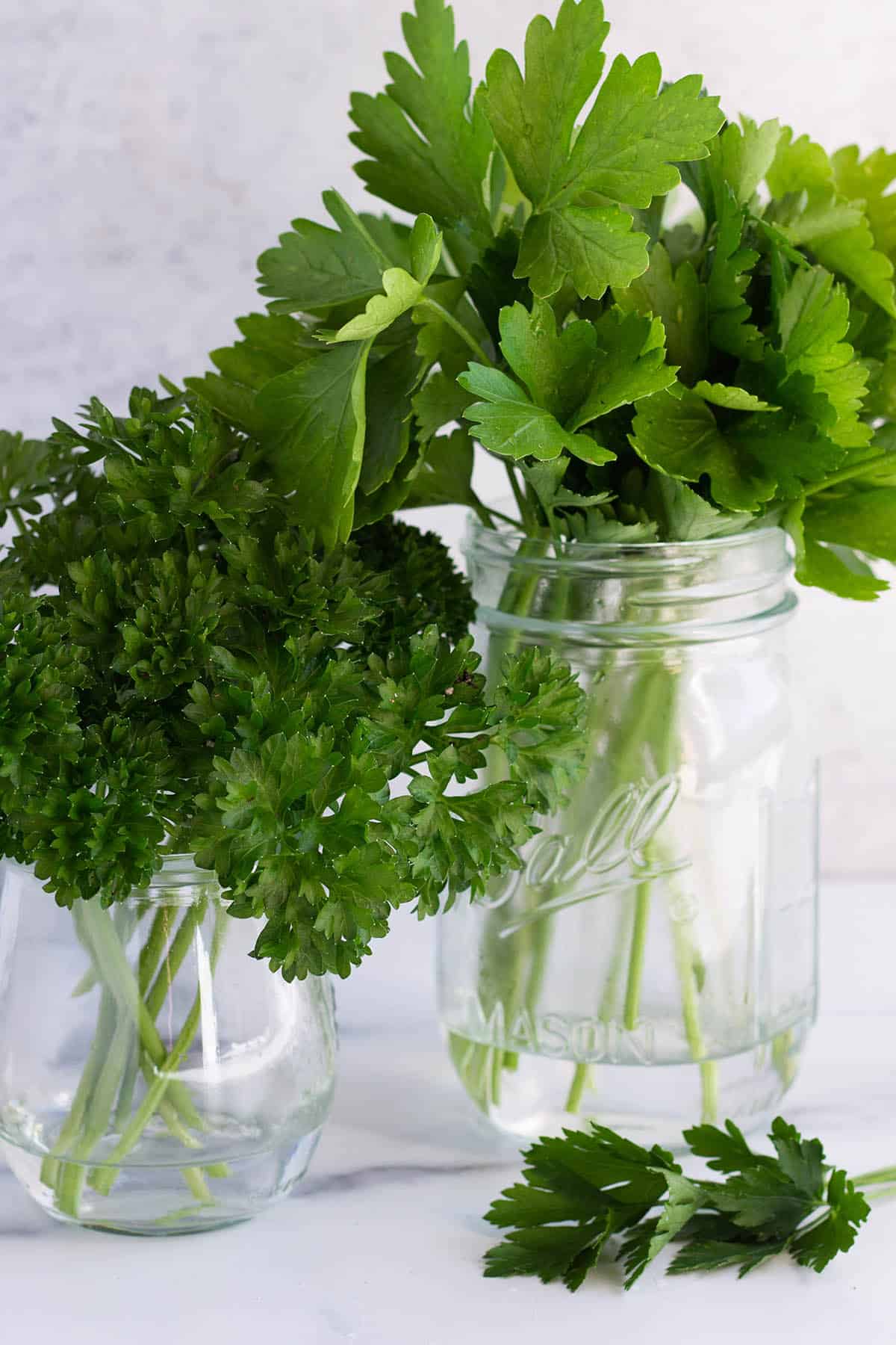 Two glass jars, one with flat leaf parsley and the other with curly leaf parsley.