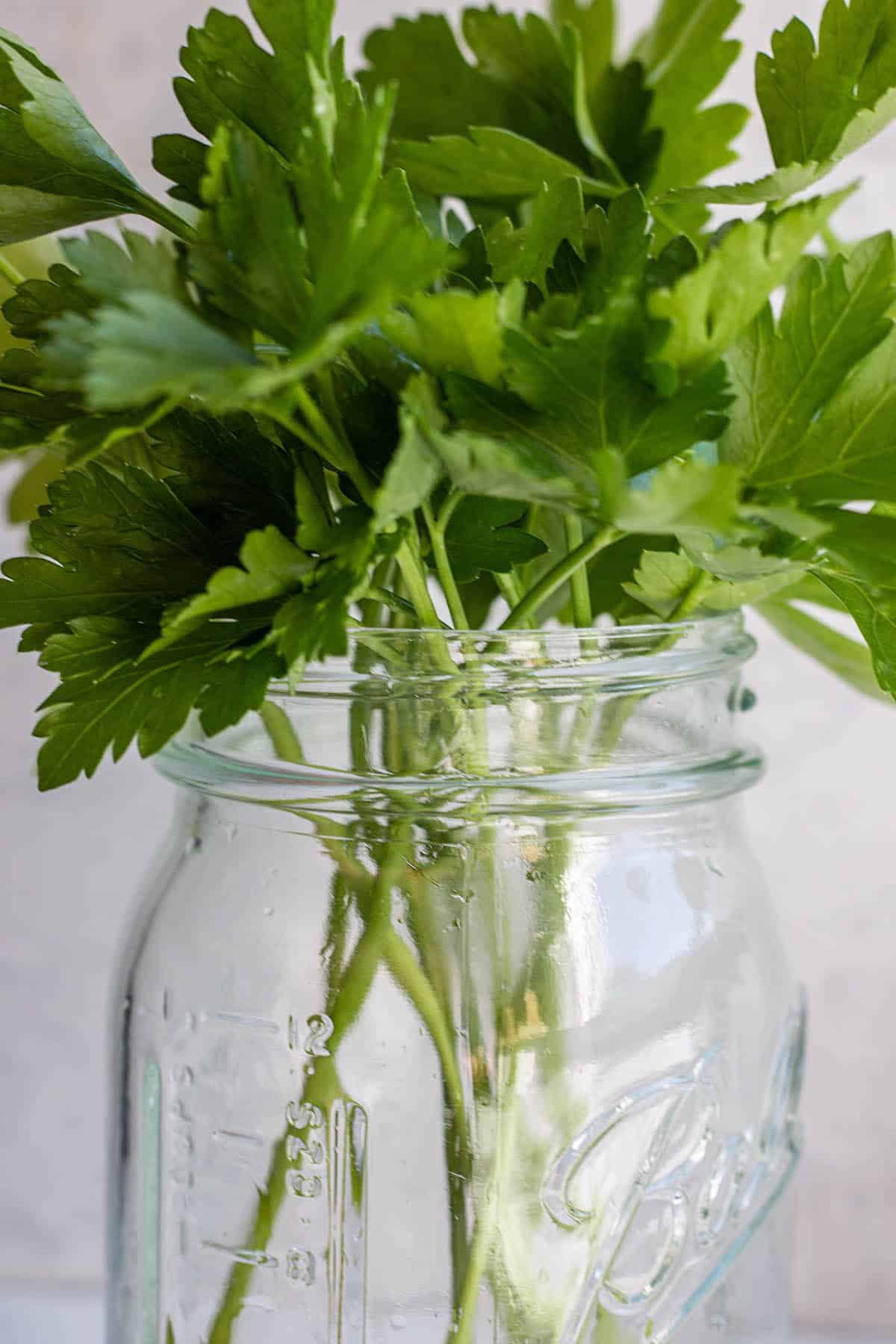 https://dirtanddough.com/wp-content/uploads/2022/06/how-to-store-parsley-4.jpg