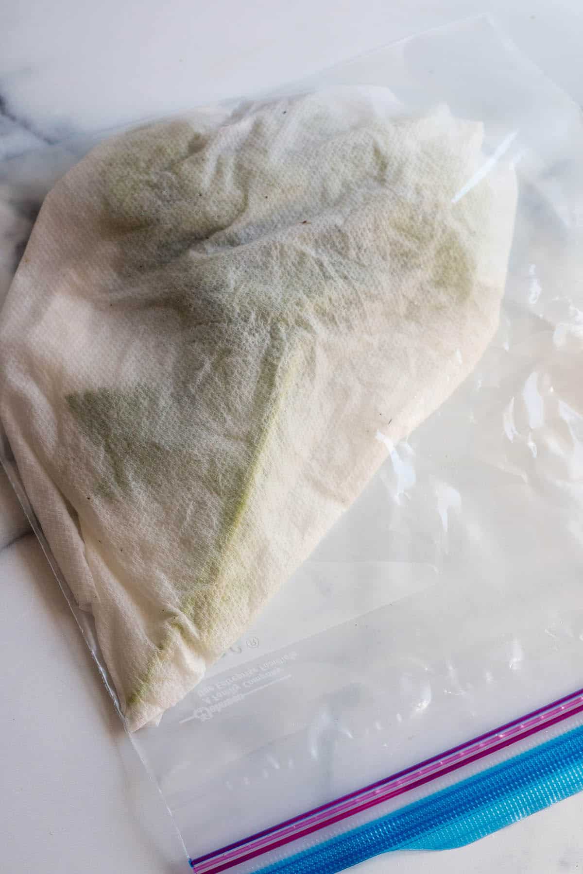 Ziplock bag with a wet paper towel and fresh parsley inside.