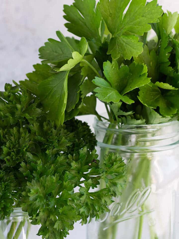 FlatLeaf Parsley vs. Curly Parsley What's the Difference? Dirt and