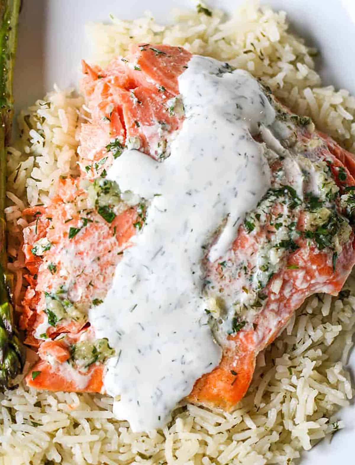Baked salmon filet onto of rice with a creamy white sauce. 