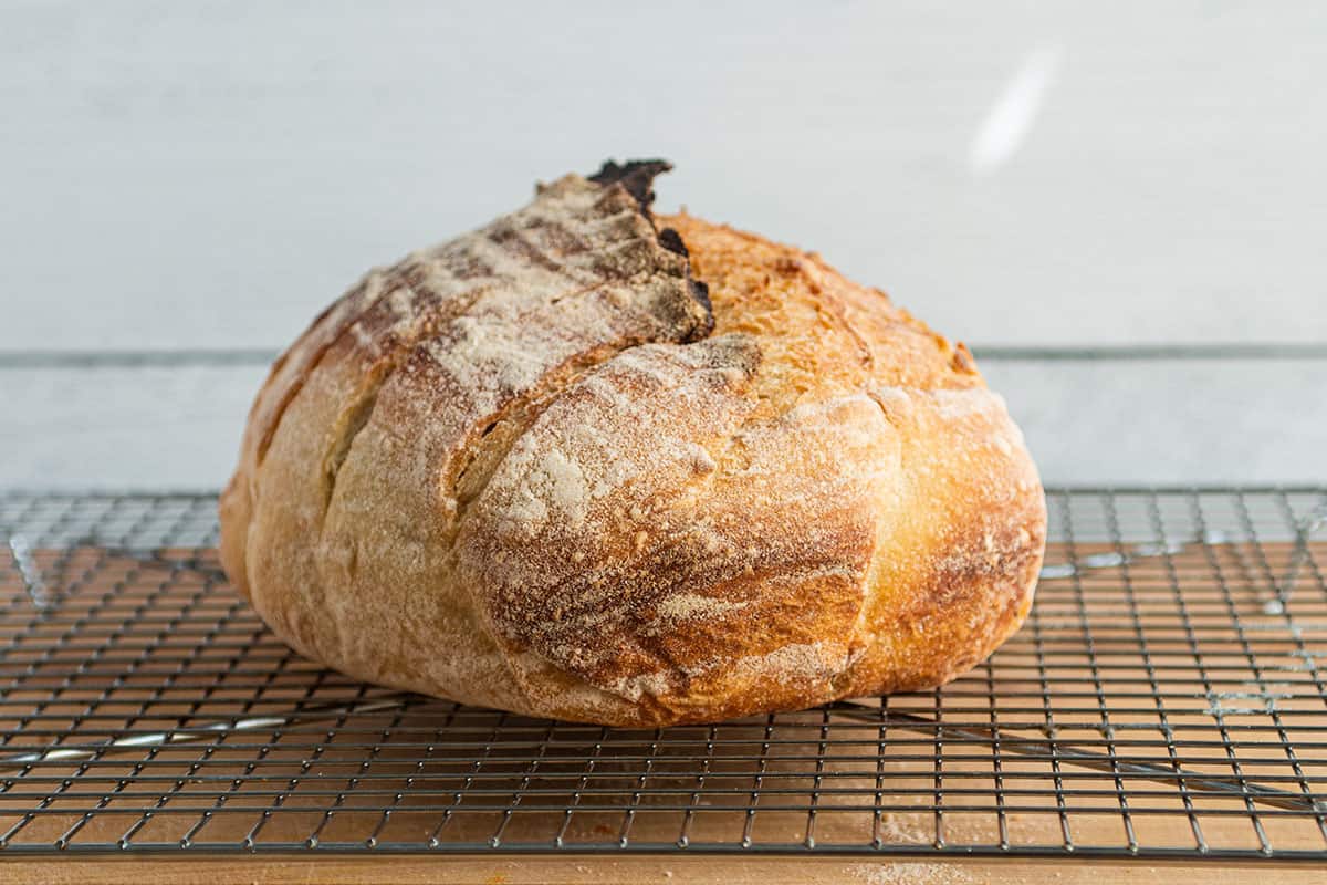A fresh loaf of sourdough bread on a cooling rack. 