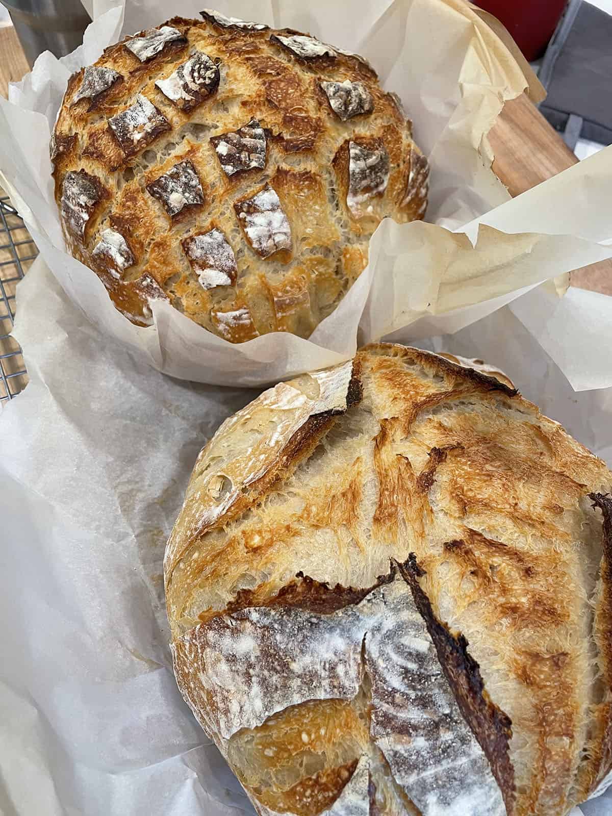 Two freshly baked loaves of sourdough bread sitting on parchment paper.