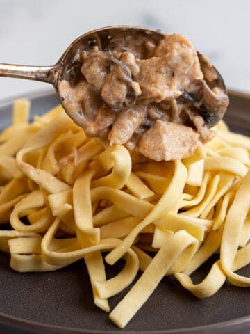 A pile of egg noodles with a scoop of turkey stroganoff being placed on top.