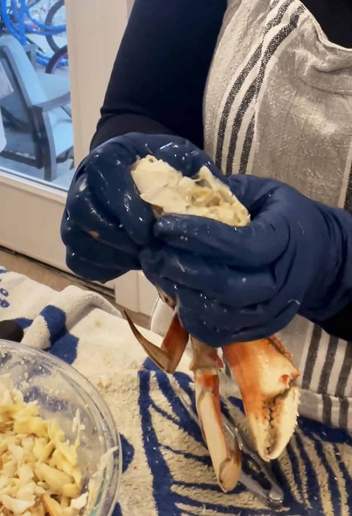 Two hands squeezing the body of a crab
