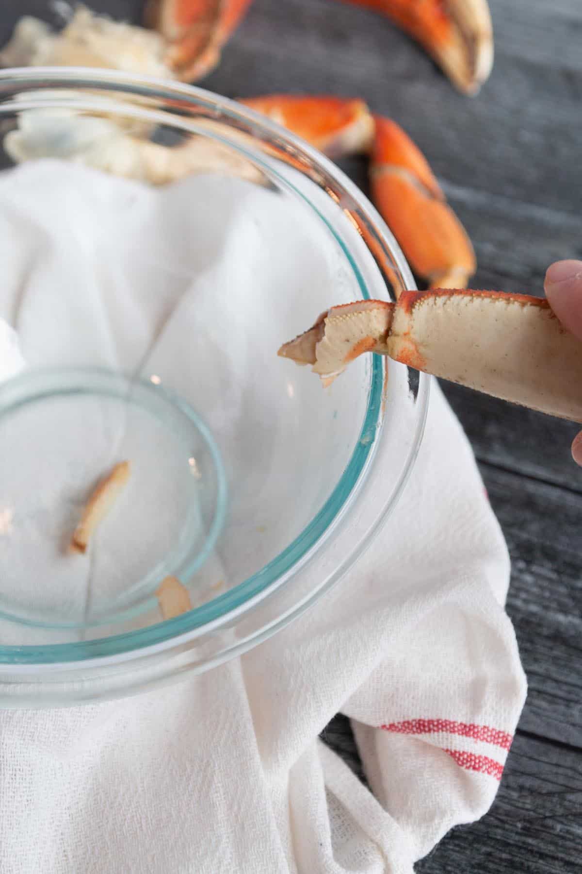 A crab leg being hit on the side of a bowl to shake out the meat.