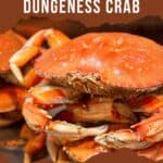 Freshly cooked Dungeness crab.