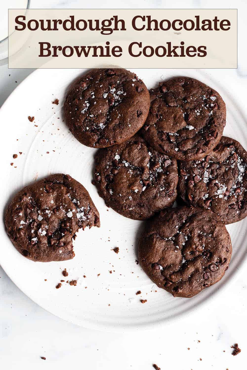 Sourdough Discard Chocolate Cookies - Dirt and Dough