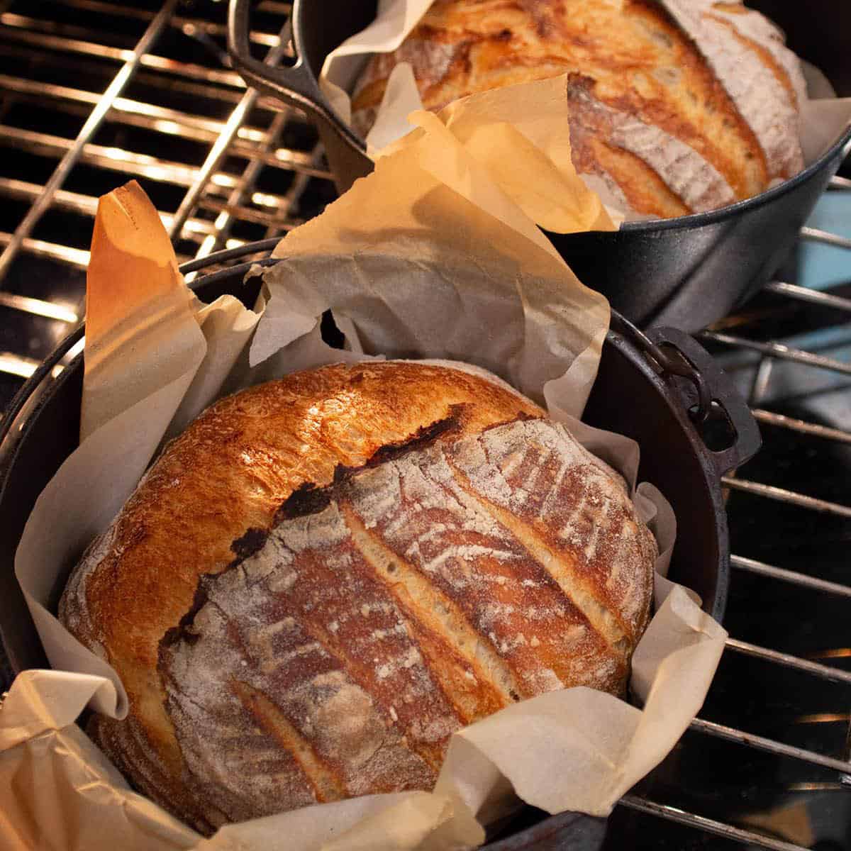 Two loaves of bread in cast iron dutch ovens being baked in the oven.