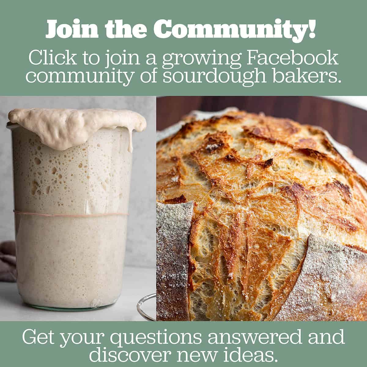 An image of a sourdough starter and bread.