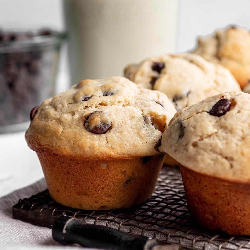 Sourdough Discard Muffins - Dirt And Dough