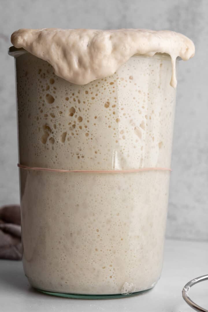 When Is A Sourdough Starter Ready Dirt And Dough   Sourdough Strater 0765 720x1080 