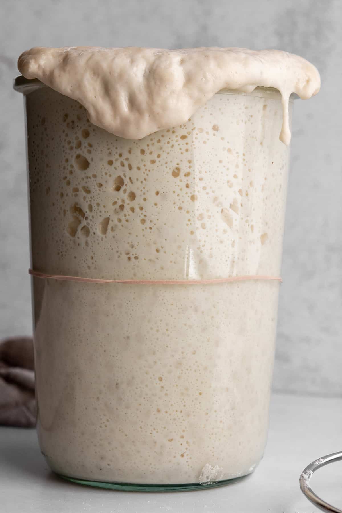 A tall glass jar with a sourdough starter growing out of the top. 