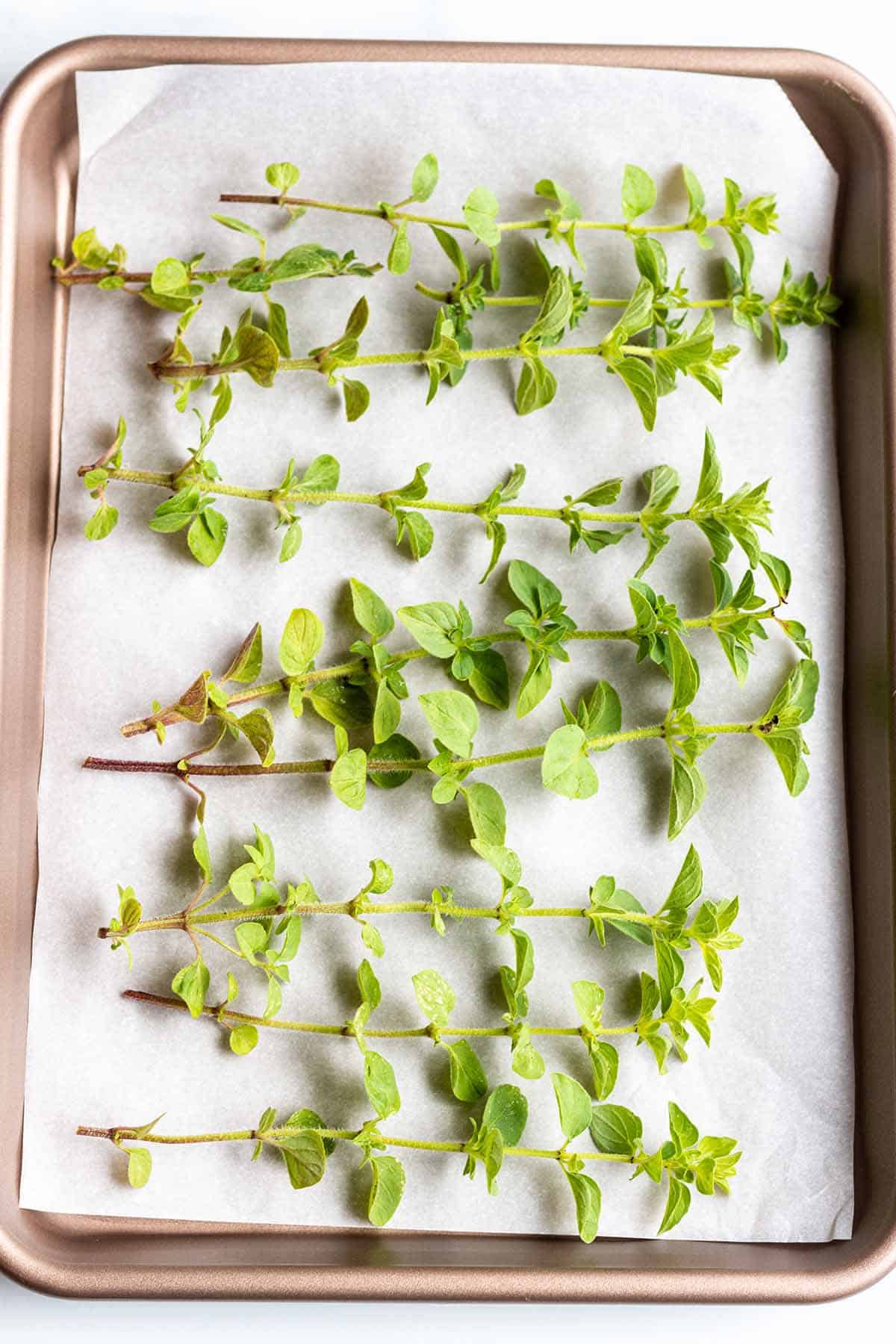 A baking sheet with parchment paper and springs of fresh oregano.