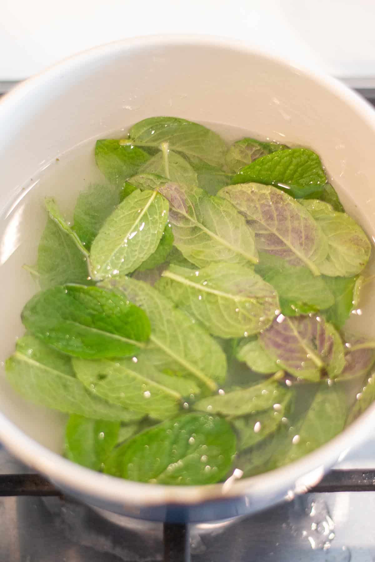 A small pot with water and fresh mint leaves.