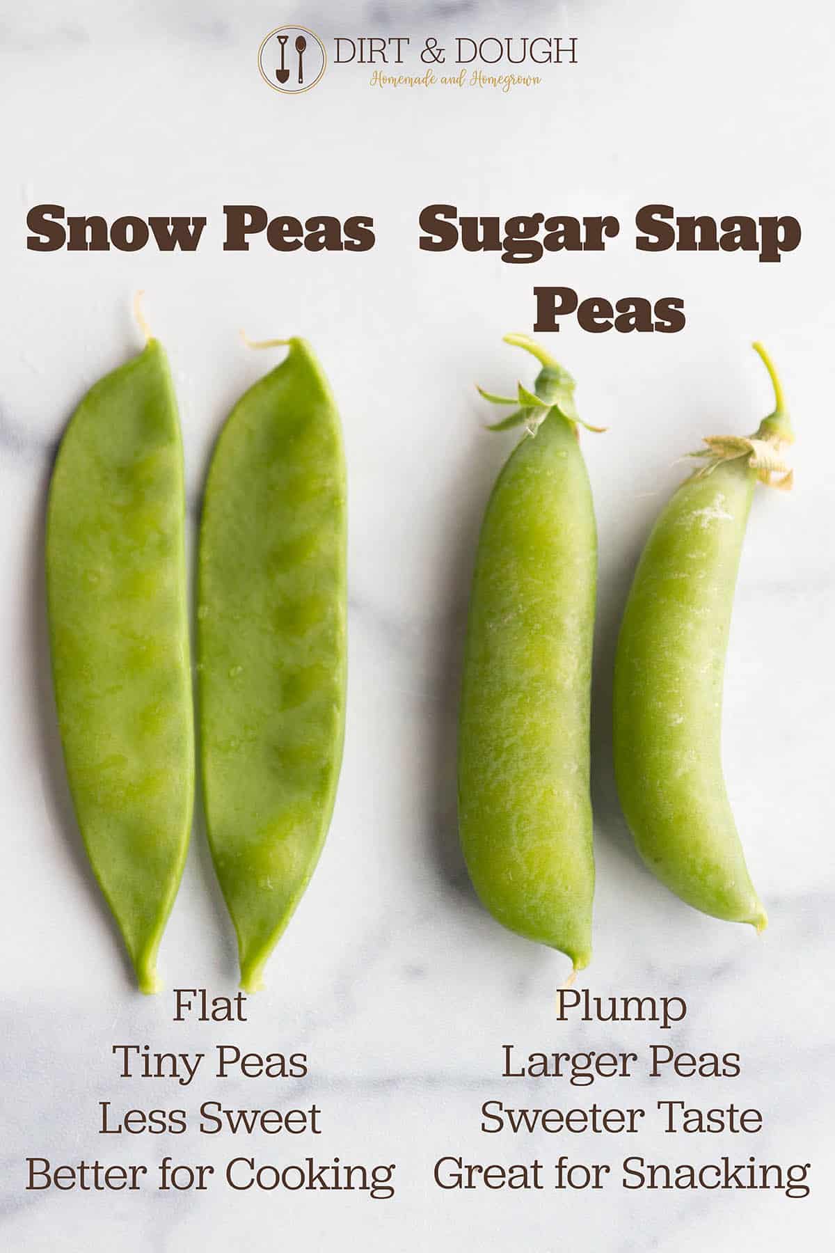 Info graphic with the difference between sugar snap and snow peas.