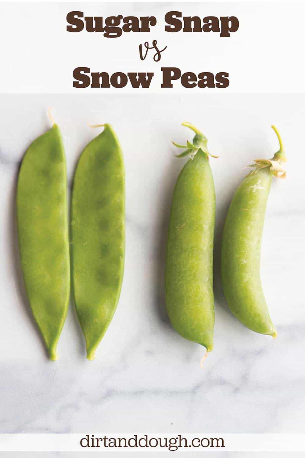 Snow Peas vs Sugar Snap Peas - What's the Difference - Dirt and Dough