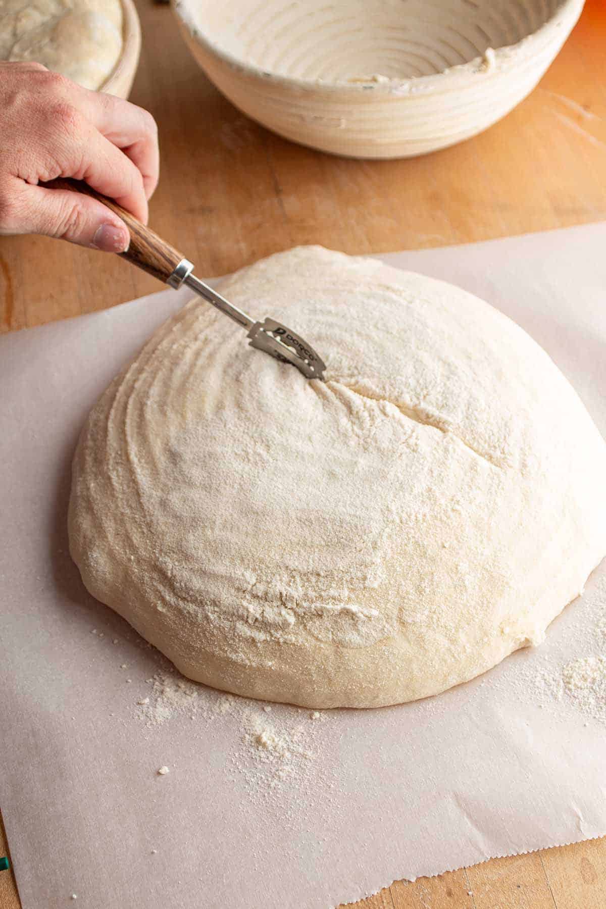 A hand using a bread lame to score the top sourdough.