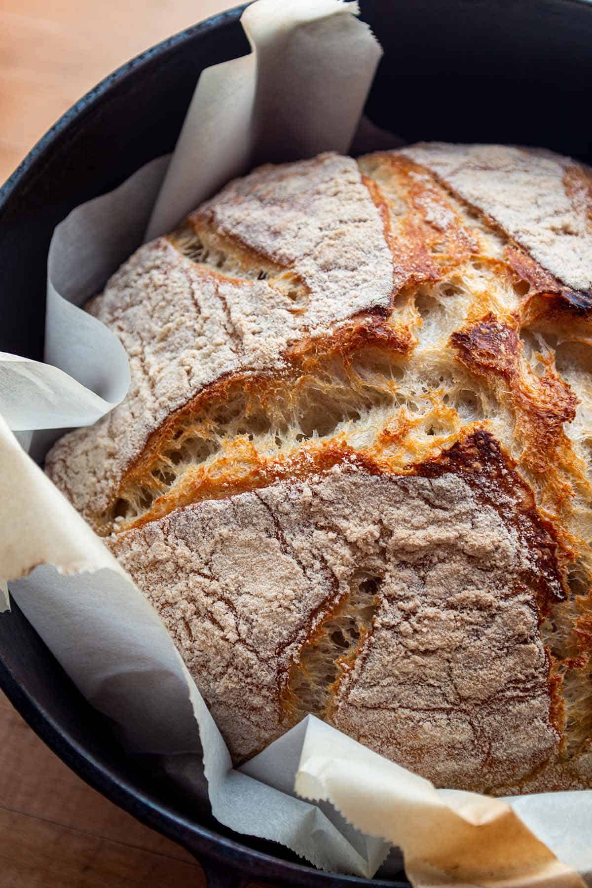 Cold Start Sourdough Bread with Overnight Dough