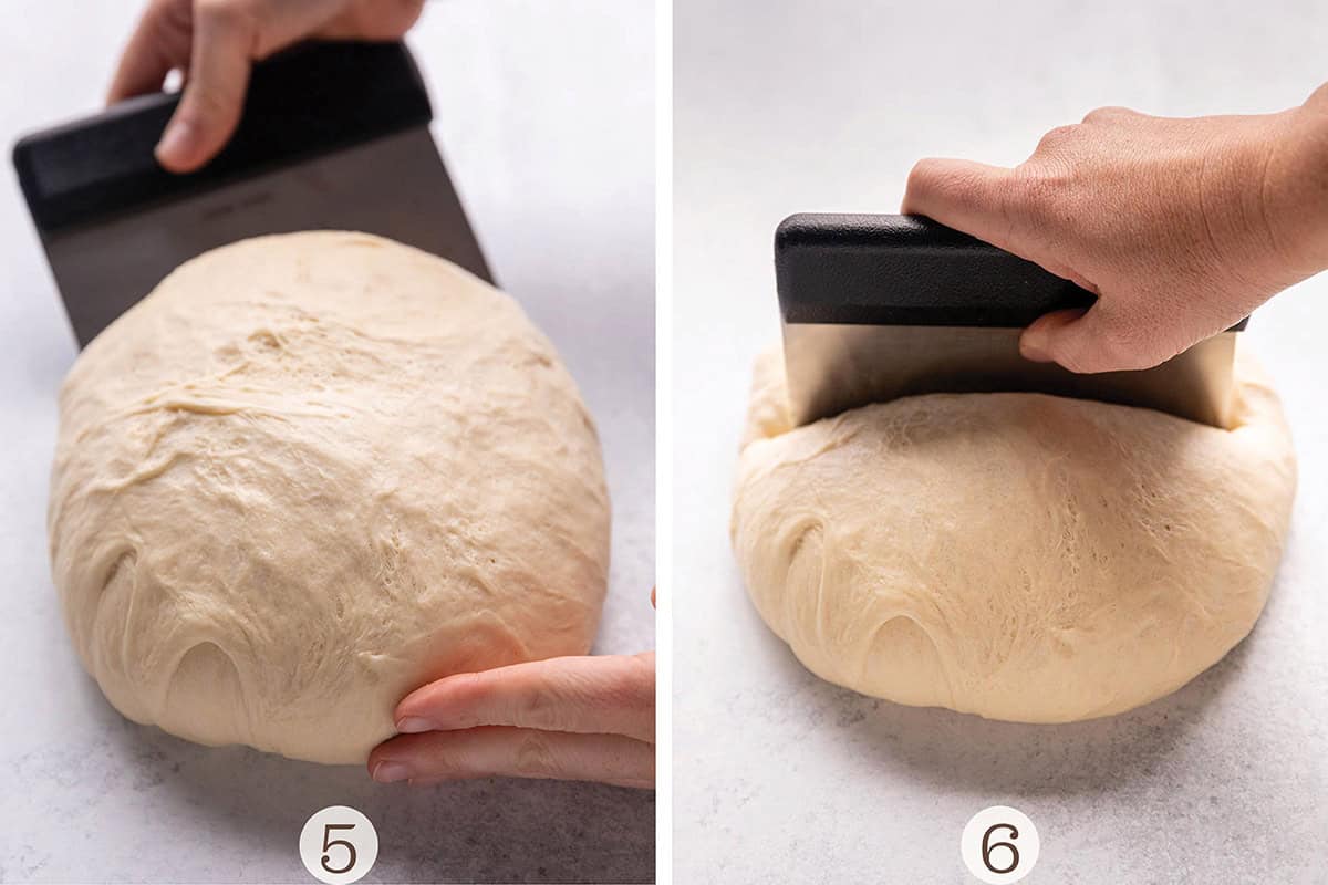 A bench scraper forming a ball of dough and cutting it in half. 